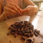 Foto Pelando los granos de chocolate